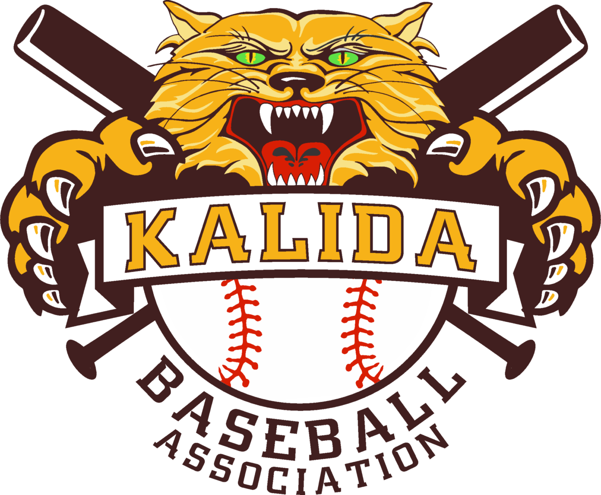 Contact Kalida Baseball Association